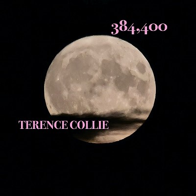 Terence Collie - 384,400